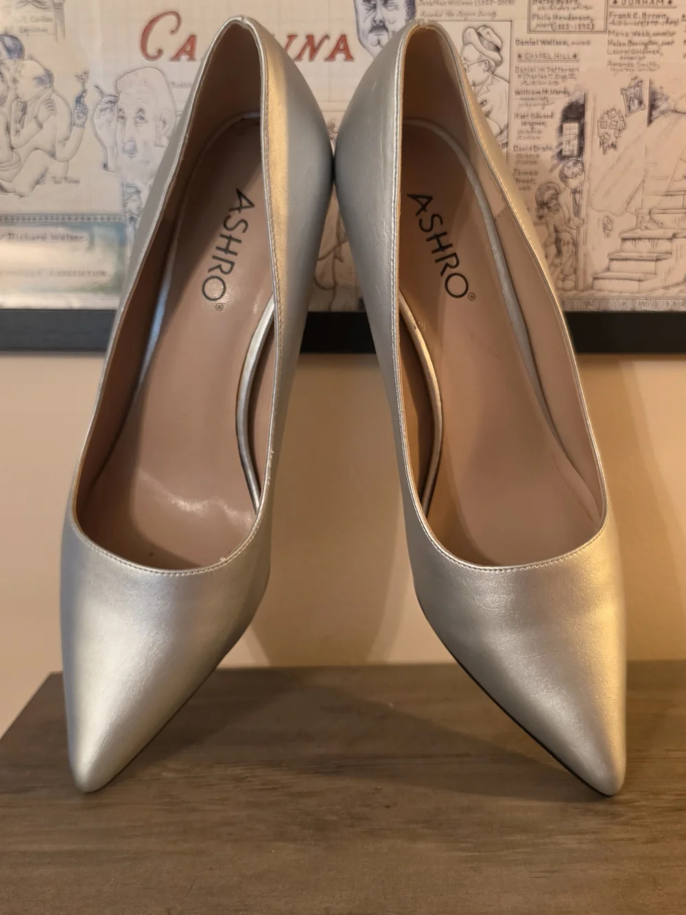 Ashro Metallic Silver Pointed-Toe Pumps